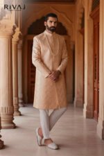 Light Appricote Elegant Design Sherwani